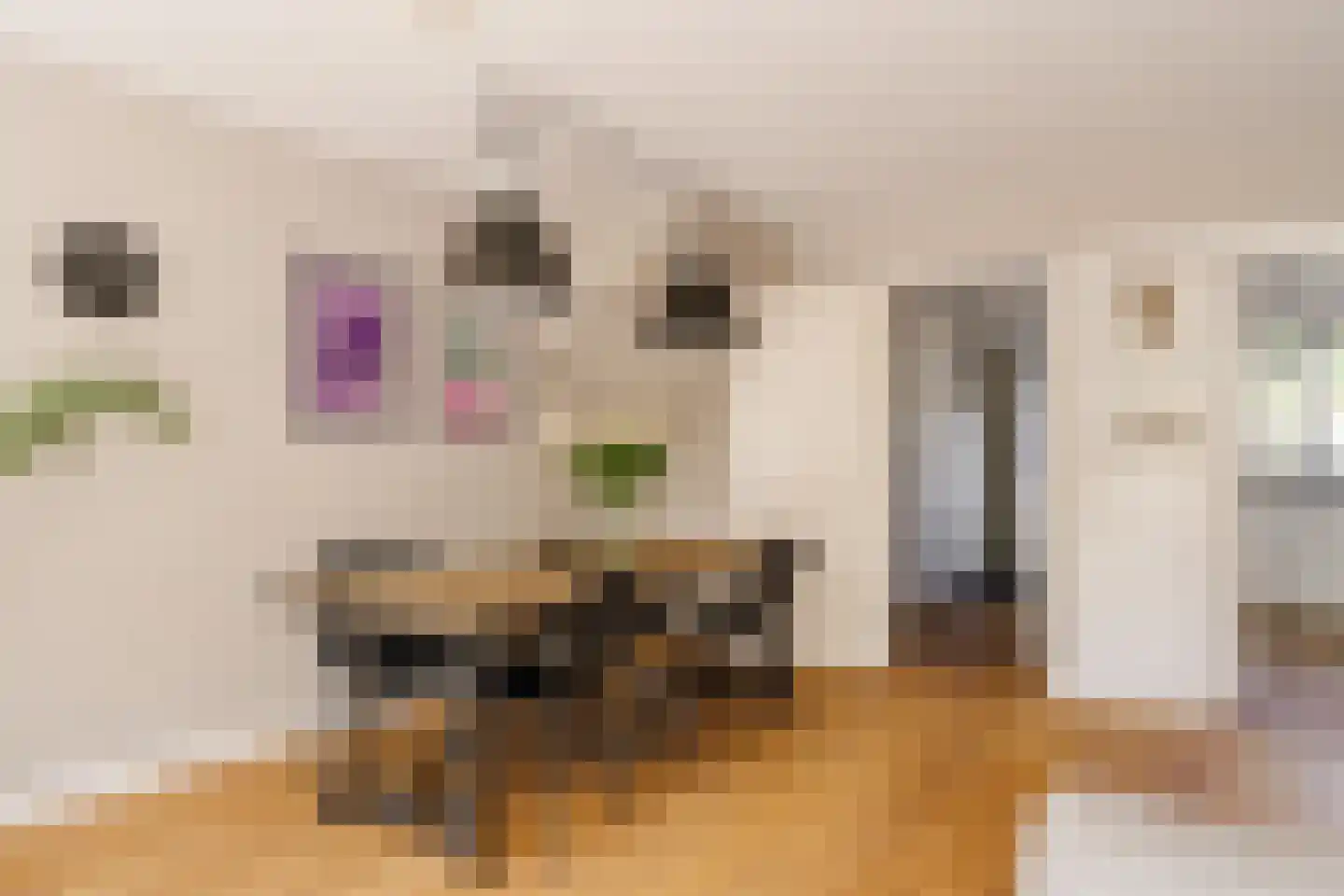 Uitvaltij 5 Noordwijk thumbnail 12