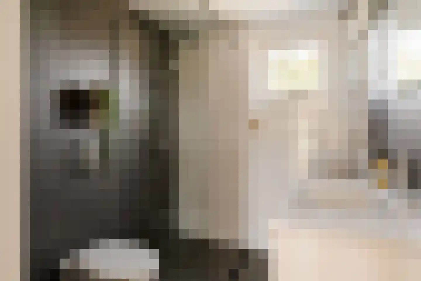 Uitvaltij 5 Noordwijk thumbnail 37