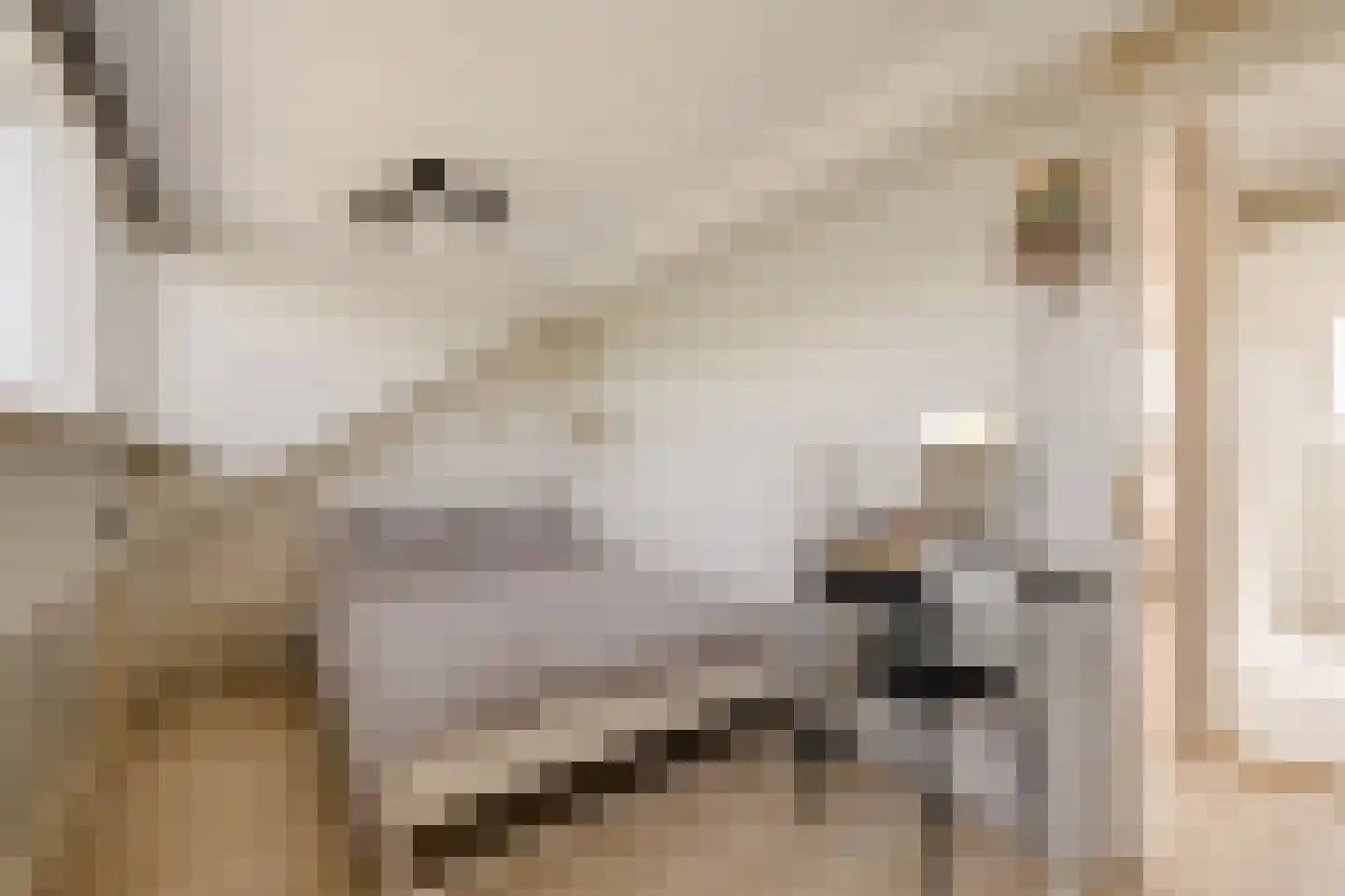 Uitvaltij 5 Noordwijk thumbnail 44