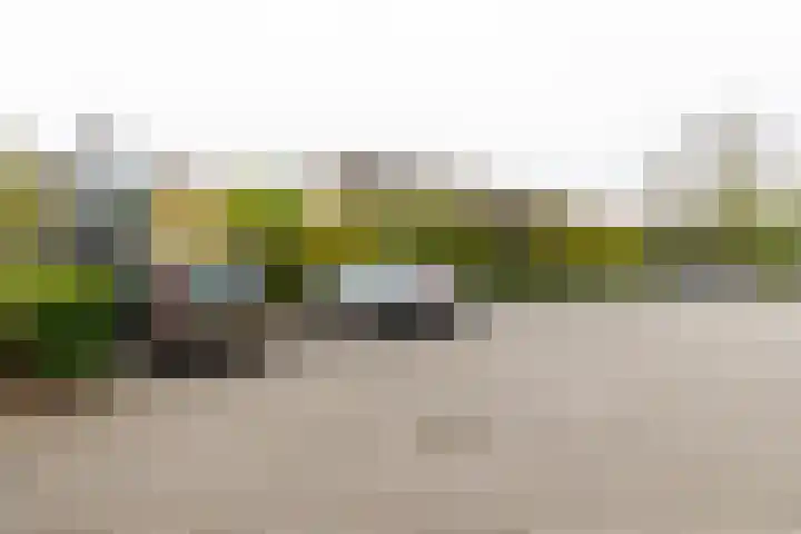 Uitweg 1 R Harmelen thumbnail 22