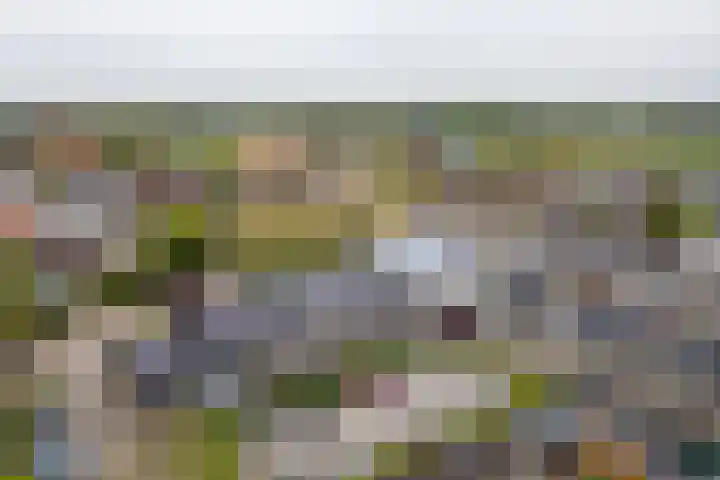 Uitweg 1 R Harmelen thumbnail 24