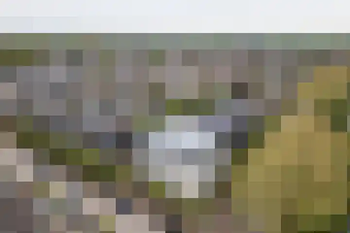 Uitweg 1 R Harmelen thumbnail 25