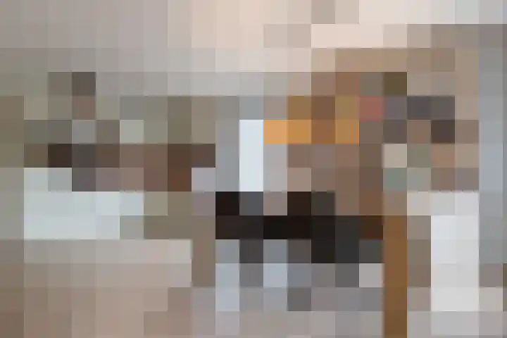 Uitweg 1 R Harmelen thumbnail 8