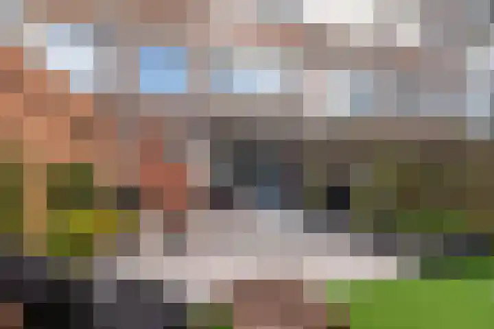 Uitweg 15 B Rotterdam thumbnail 23