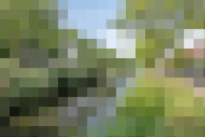 Uitweg 15 B Rotterdam thumbnail 30