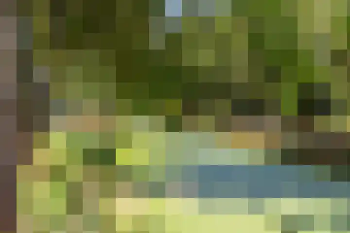 Uitweg 15 B Rotterdam thumbnail 37