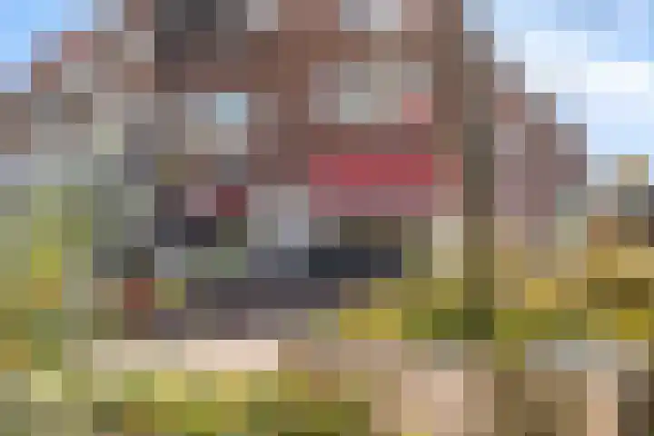 Uitweg 15 B Rotterdam thumbnail 38