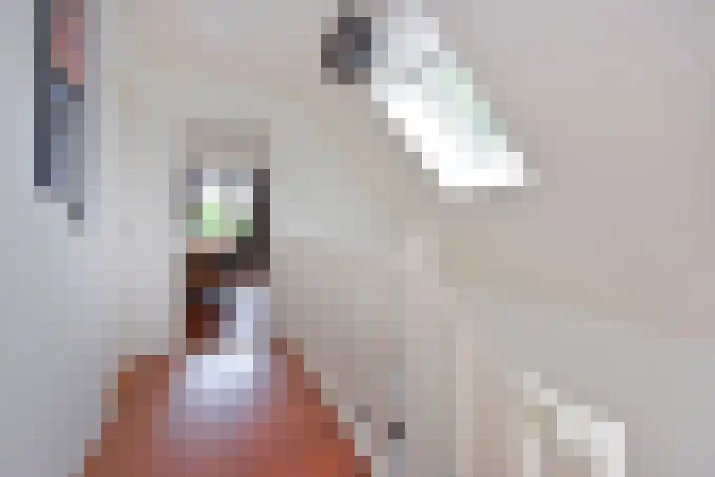Uitweg 2 Woerdense Verlaat thumbnail 23