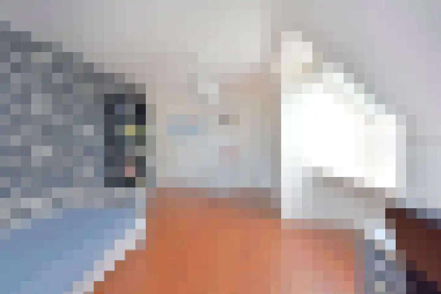 Uitweg 2 Woerdense Verlaat thumbnail 26