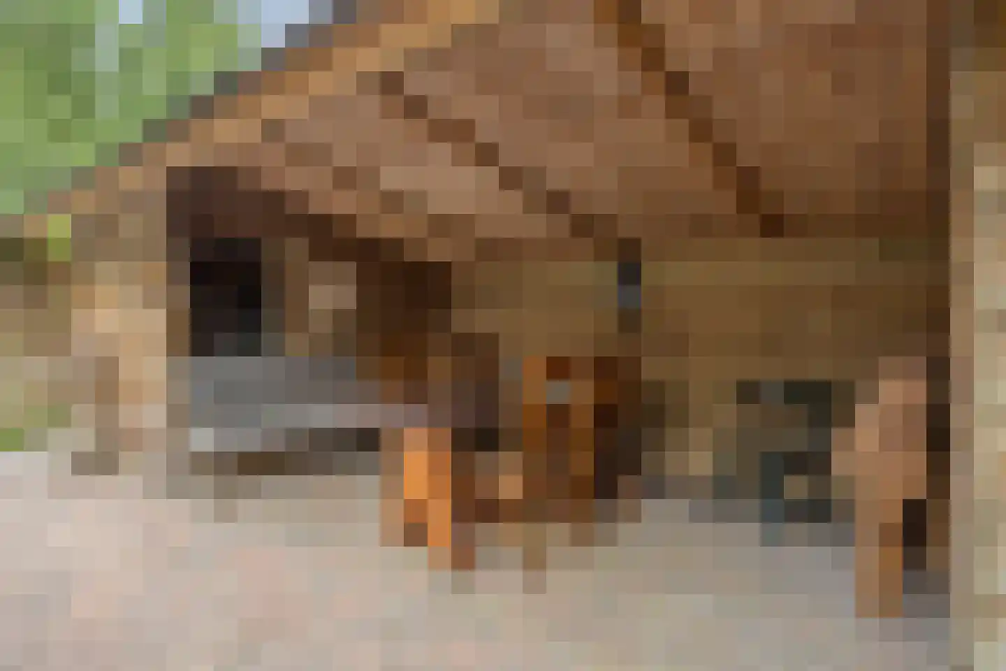 Uitweg 25 Harmelen thumbnail 34