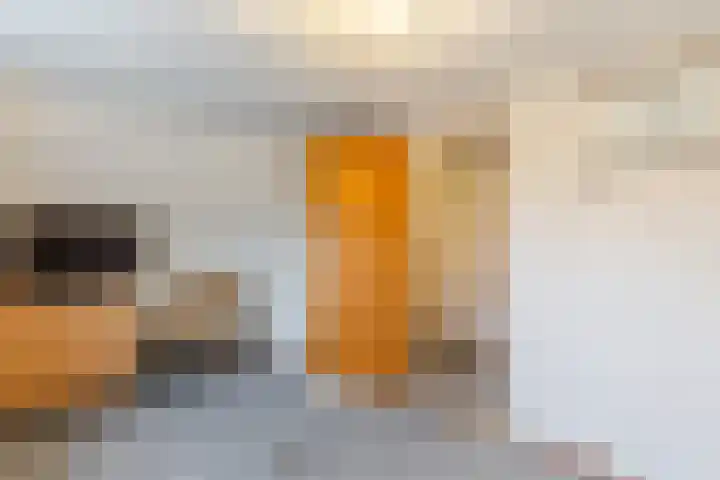 Uitweg 28 Krommenie thumbnail 21