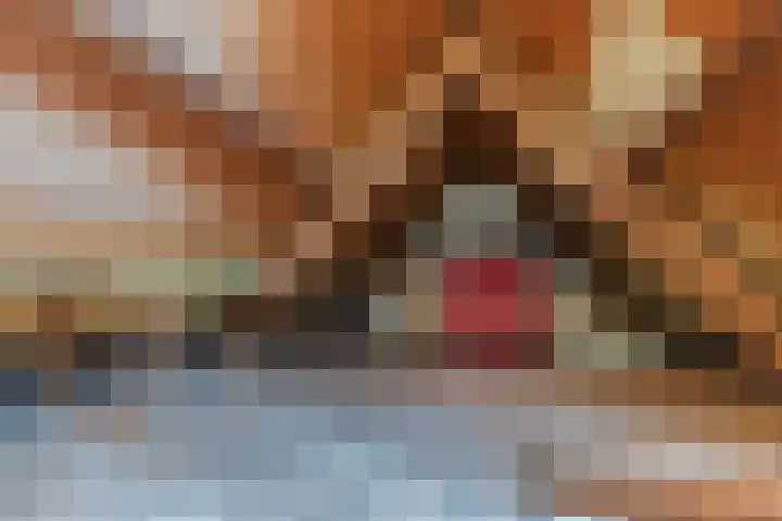 Uitweg 28 Krommenie thumbnail 28