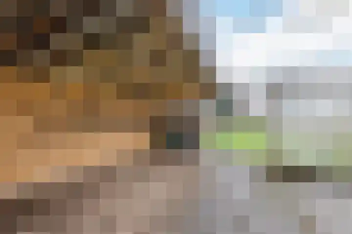 Uitweg 28 Krommenie thumbnail 31