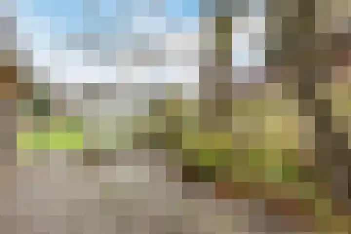 Uitweg 28 Krommenie thumbnail 35