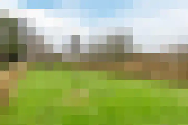 Uitweg 28 Krommenie thumbnail 36