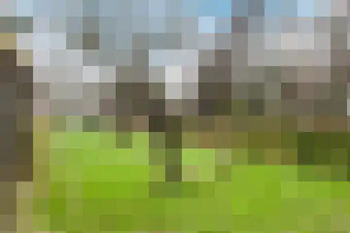 Uitweg 28 Krommenie thumbnail 38