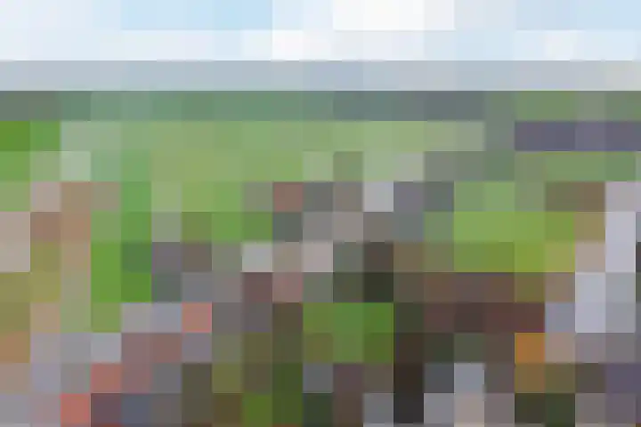 Uitweg 28 Krommenie thumbnail 4