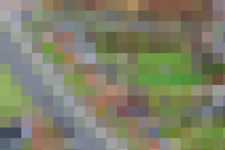 Uitweg 28 Krommenie thumbnail 41