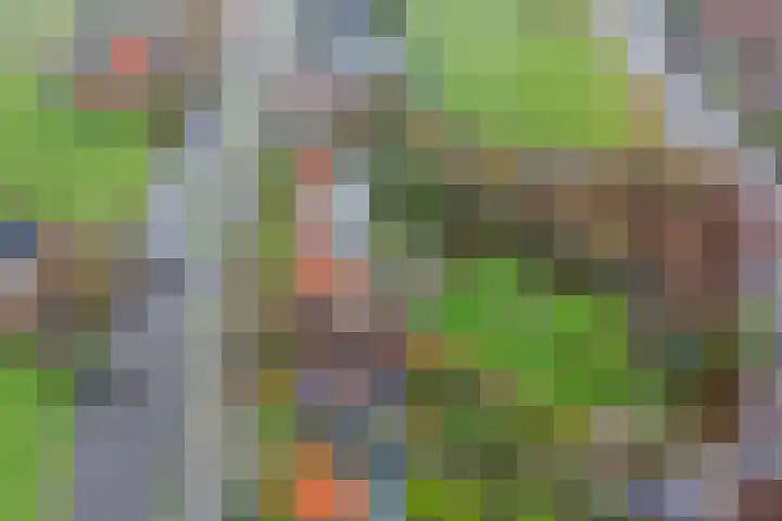 Uitweg 28 Krommenie thumbnail 42