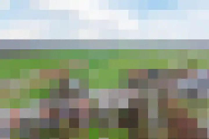 Uitweg 28 Krommenie thumbnail 43