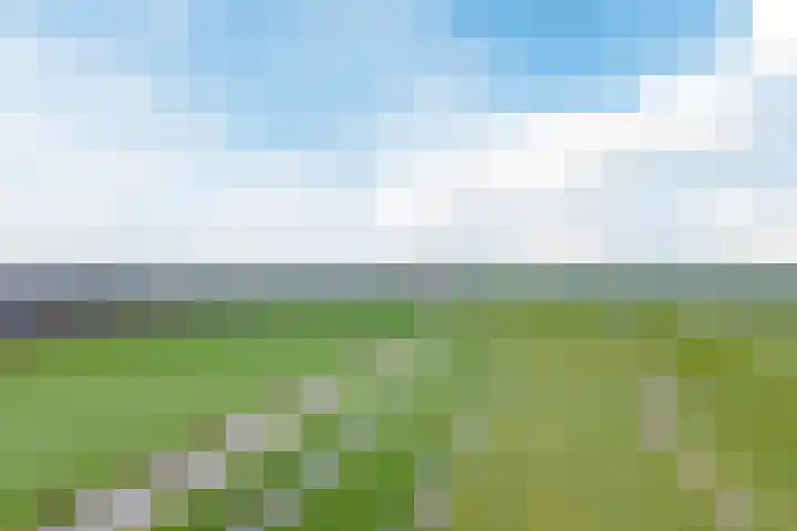 Uitweg 28 Krommenie thumbnail 45