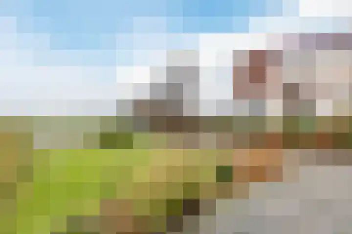 Uitweg 28 Krommenie thumbnail 50