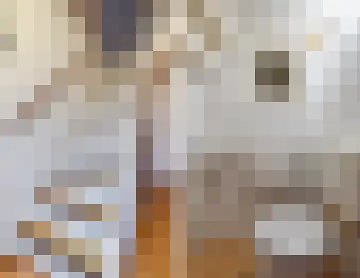 Uitweg 28 Krommenie thumbnail 7