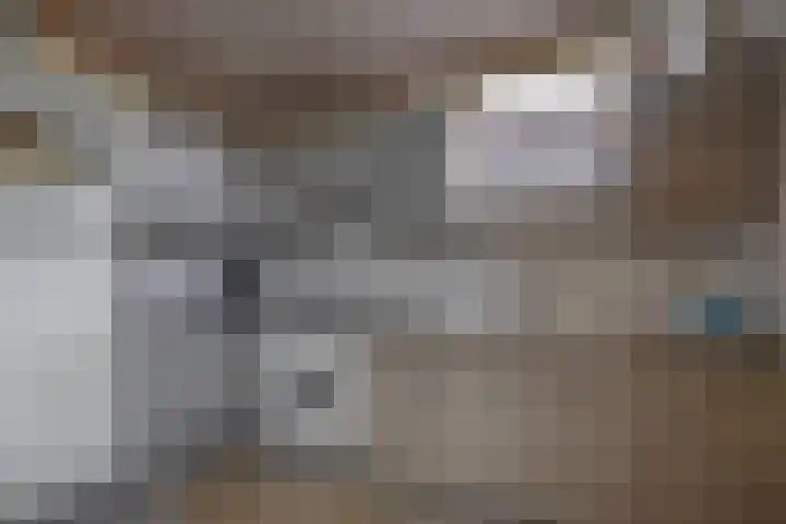 Uitweg 6 Krommenie thumbnail 17