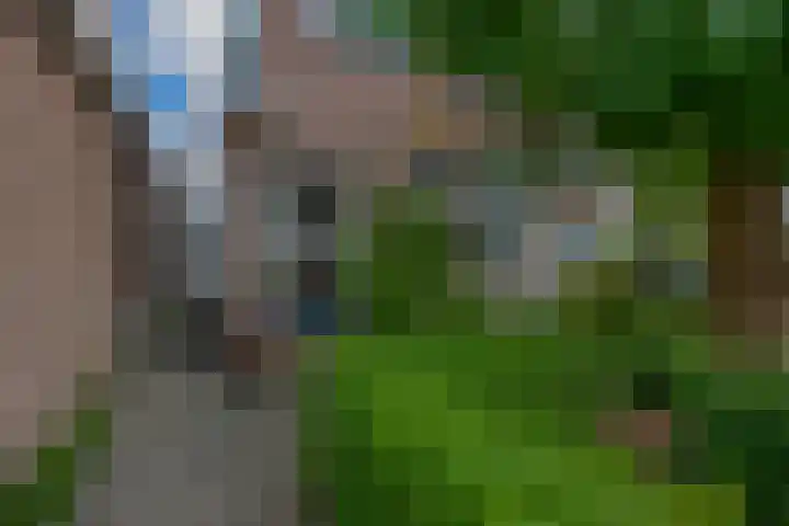 Uitweg 6 Krommenie thumbnail 8