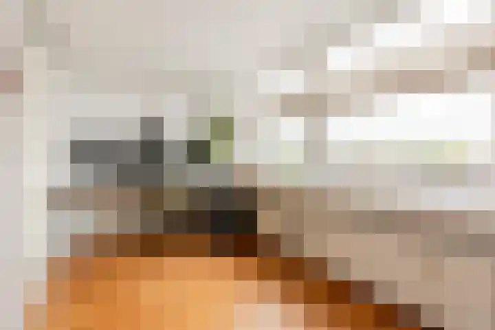 Uitweg 60 Rotterdam thumbnail 16