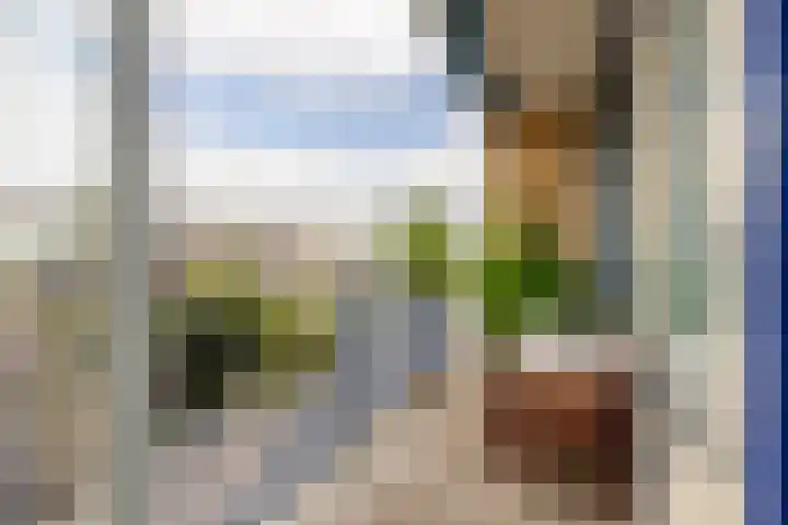 Uitweg 60 Rotterdam thumbnail 18