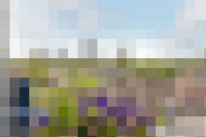 Uitweg 60 Rotterdam thumbnail 19