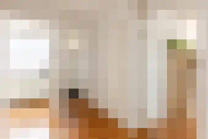 Uitweg 60 Rotterdam thumbnail 5