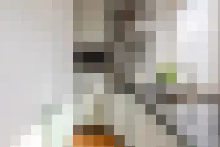 Uitweg 60 Rotterdam thumbnail 7