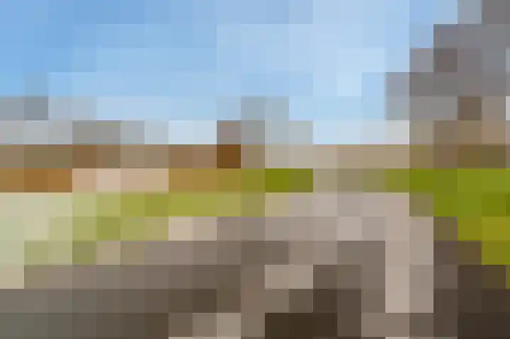 Uitwierderweg 139 Delfzijl thumbnail 9