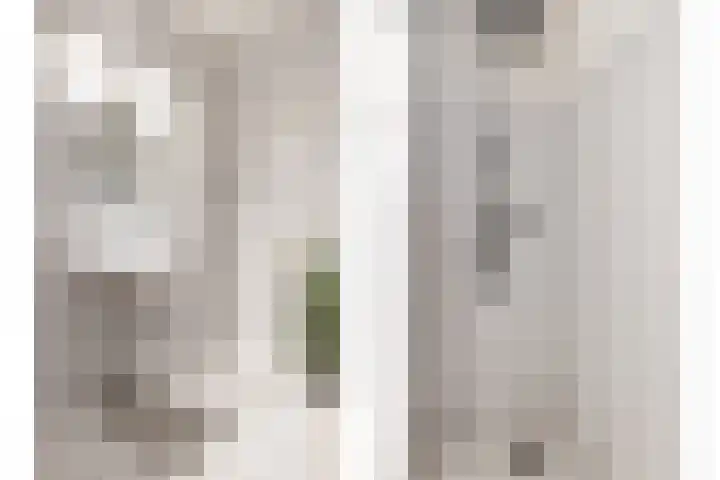 Uitwierderweg 155 Delfzijl thumbnail 20