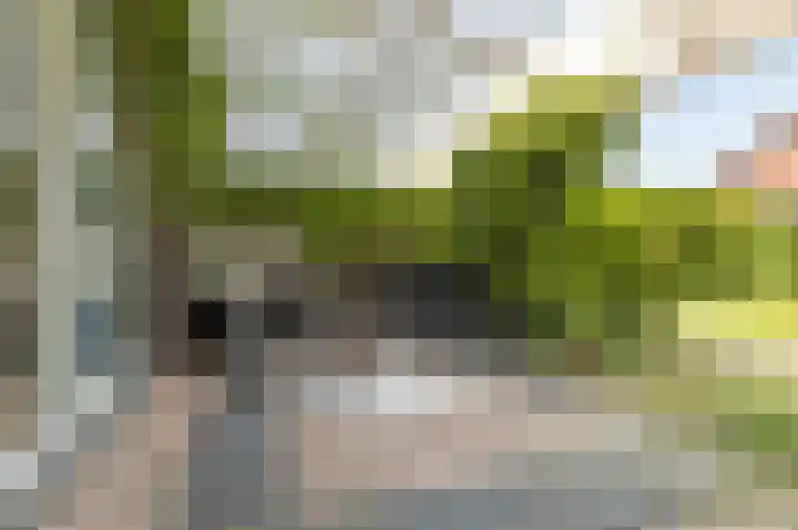 Uitwierderweg 155 Delfzijl thumbnail 22