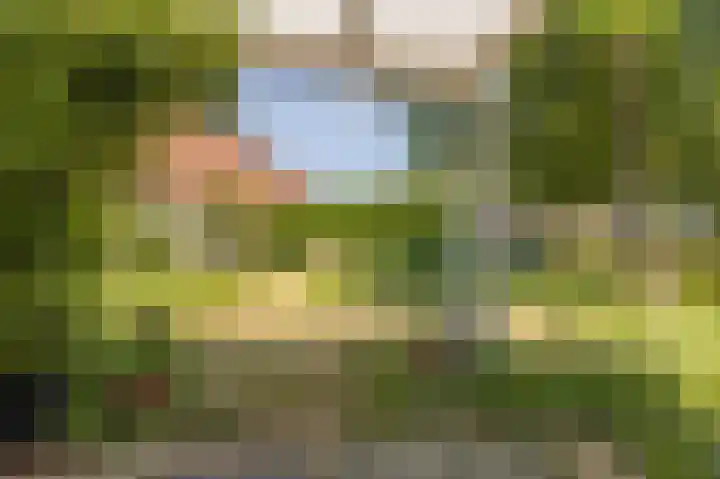 Uitwierderweg 155 Delfzijl thumbnail 23