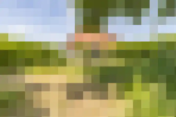 Uitwierderweg 155 Delfzijl thumbnail 24
