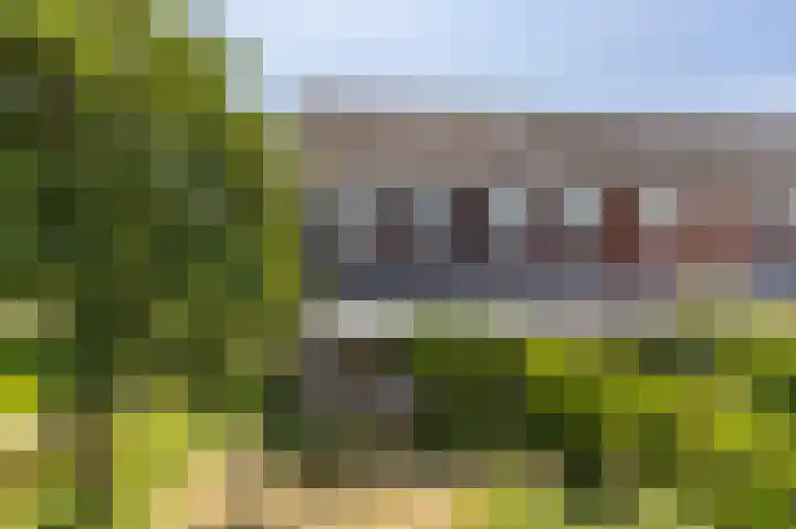 Uitwierderweg 155 Delfzijl thumbnail 26