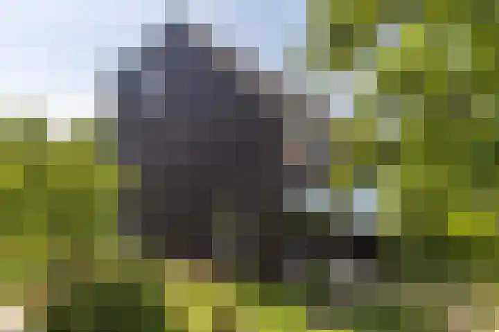 Uitwierderweg 155 Delfzijl thumbnail 27