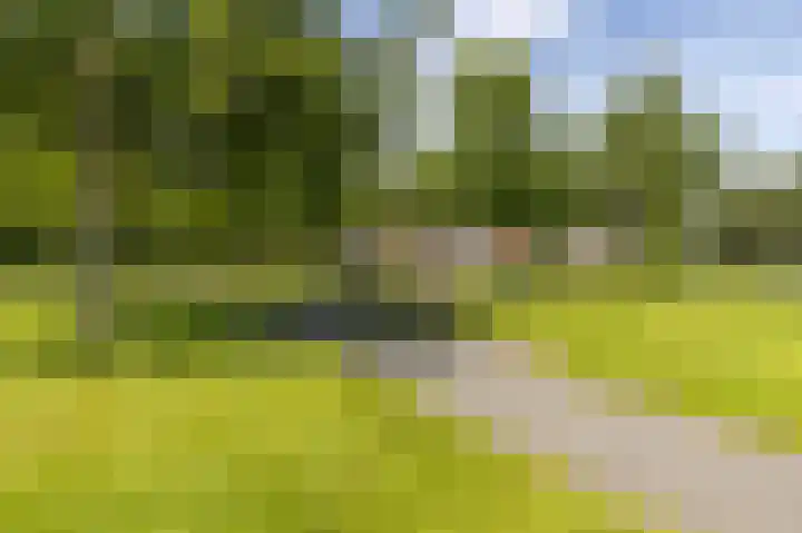 Uitwierderweg 155 Delfzijl thumbnail 28