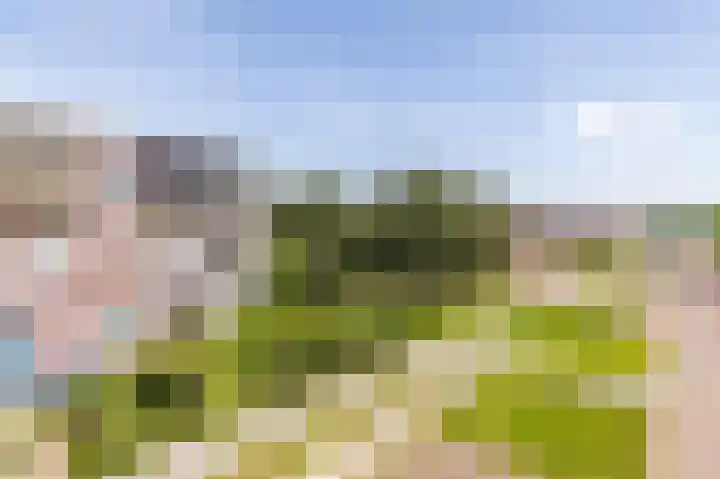 Uitwierderweg 155 Delfzijl thumbnail 5