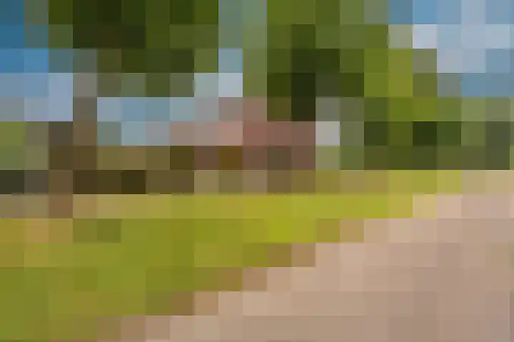 Uitwierderweg 169 Delfzijl thumbnail 10