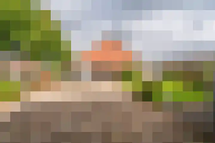 Uitwierderweg 169 Delfzijl thumbnail 14