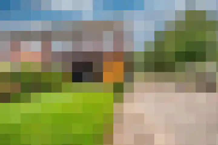 Uitwierderweg 169 Delfzijl thumbnail 16