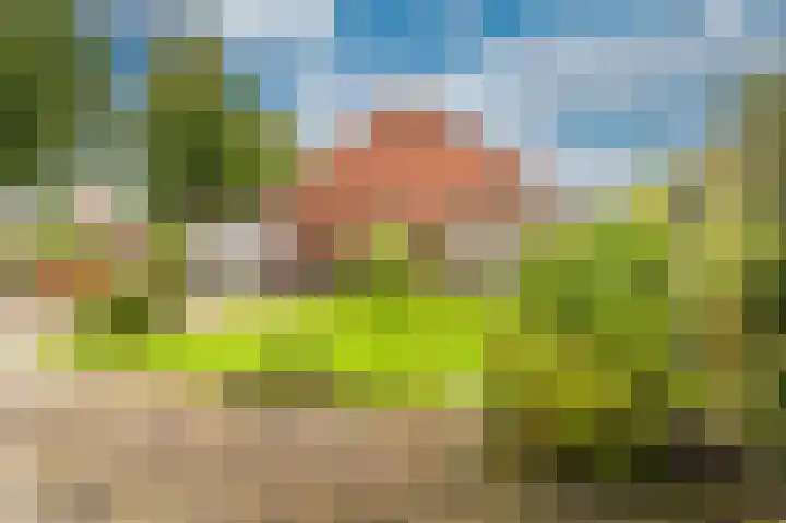 Uitwierderweg 169 Delfzijl thumbnail 18
