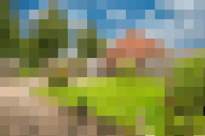 Uitwierderweg 169 Delfzijl thumbnail 19
