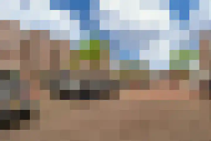 Uitwierderweg 169 Delfzijl thumbnail 22