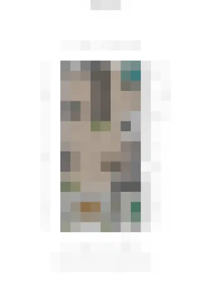 Uitwierderweg 169 Delfzijl thumbnail 51